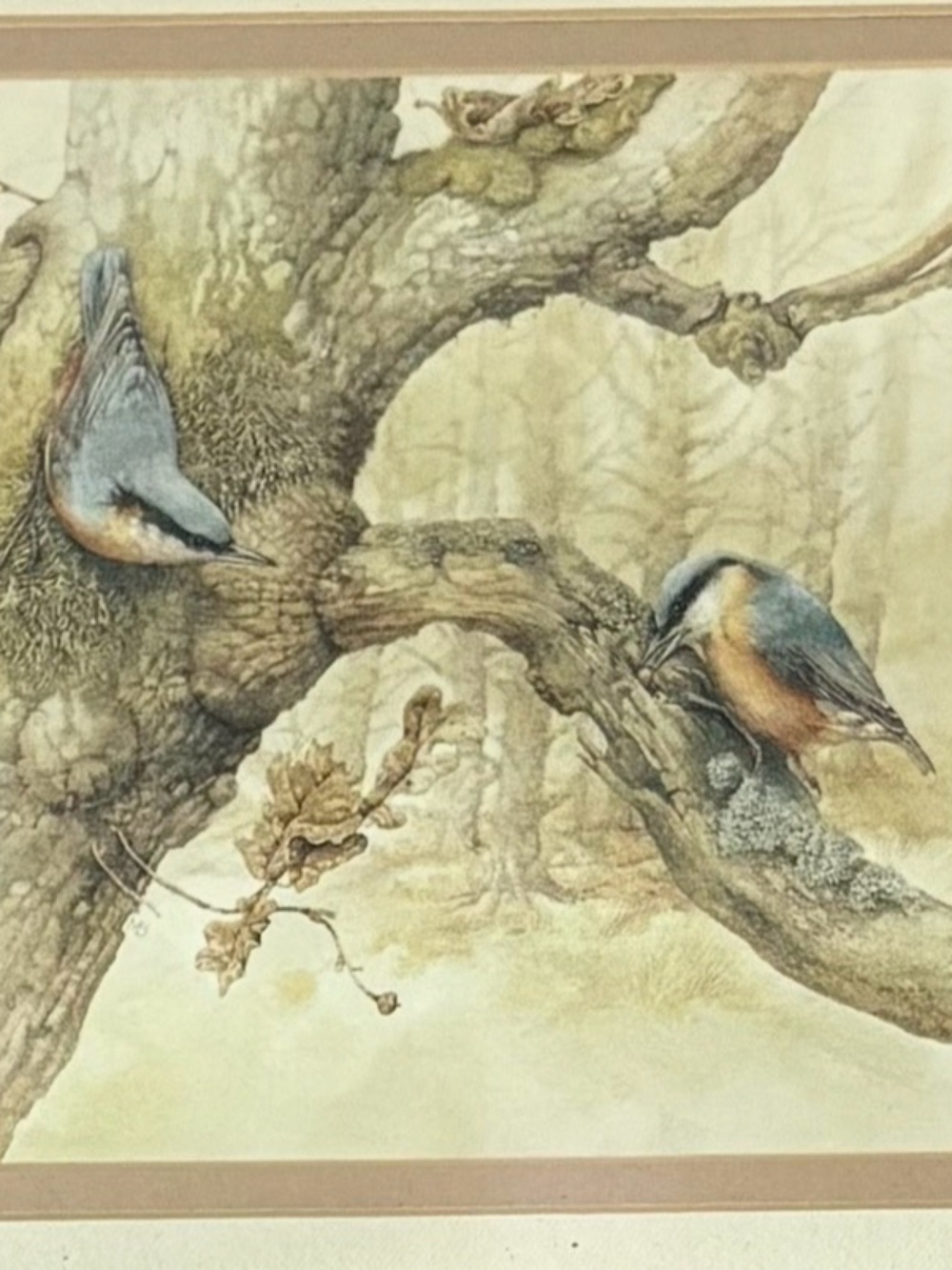 Vintage Marjolein Bastin Original Matted 10x7 Art Print 1995 Hallmark Nuthatches